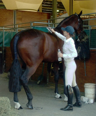 Polishing a horse