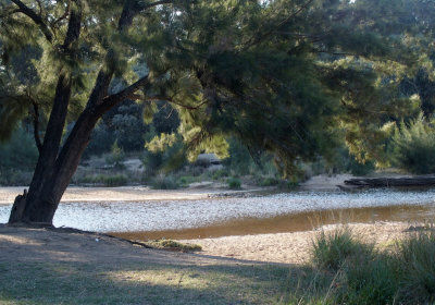 Grose River near Agnes Banks