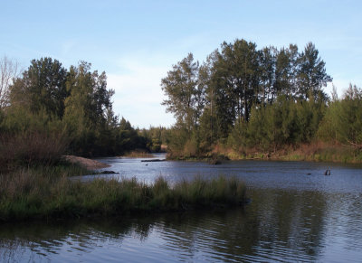 At the Grose River confluence