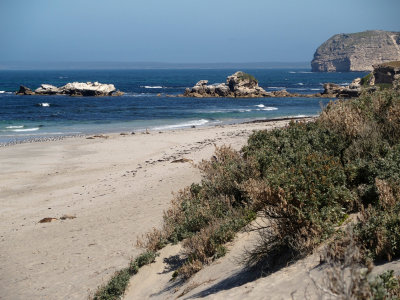 Seal Bay, Kangaroo Island