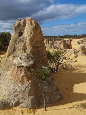 The Pinnacles - 9