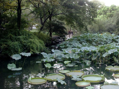 Pool in the Humble Administrator's Garden