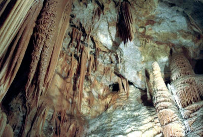 In the Orient Cave, Jenolan