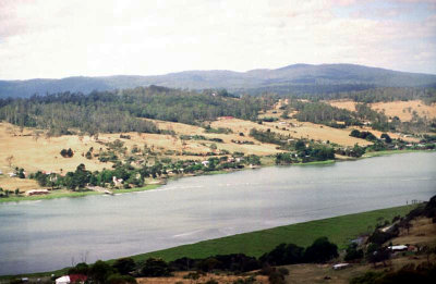 Tamar River from Brady's Lookout