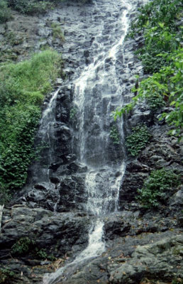 Falls 1, Dorrigo National Park