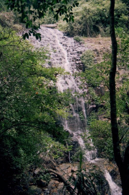 Falls 2, Dorrigo National Park