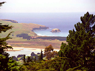 View from Larnach Castle