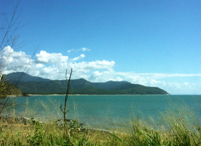 On the coast road to Port Douglas