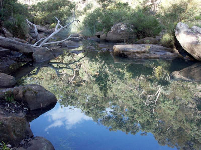 Jellybean Pool, Glenbrook