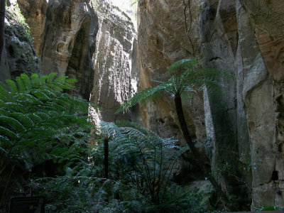 Ward's Canyon  2