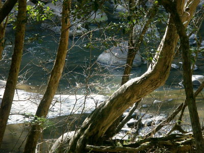 Ferndale, near Dungog