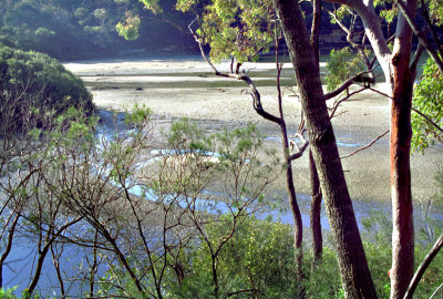 Low tide