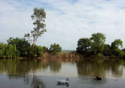 Another morning at Pughs Lagoon