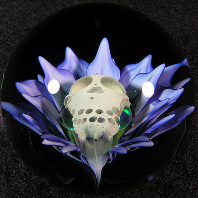 Skull perfection!