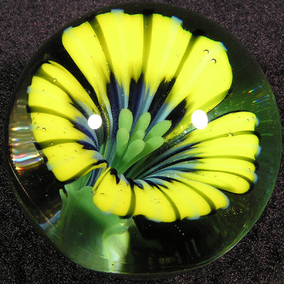 Daisy Days Size: 1.41 Price: SOLD