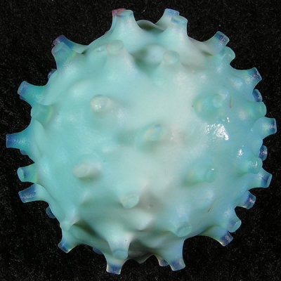Borovirus Icerzone Size: 1.08 Price: SOLD 