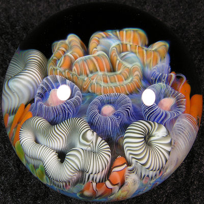 Reef Dreams Size: 1.33 Price: SOLD