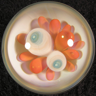 Anemone Bowl Size: 1.28 Price: SOLD 