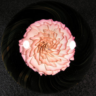 Chris Hanson's flower is seen here