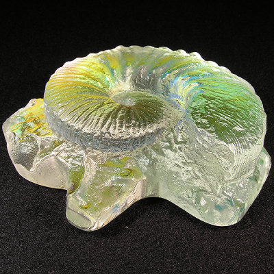 #584: Unknown, Magiammonite Size: 3.16 W x 1.11 H Price: $50