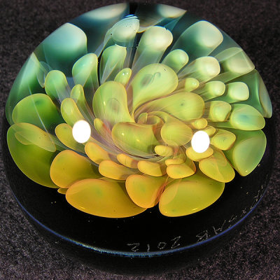 With Andrew's rainbow twisted fumed implosion on the other!