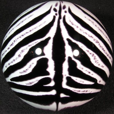 Plains Zebra Size: 3.42 Price: SOLD