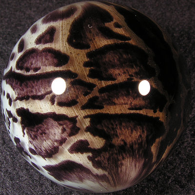 Clouded Leopard  Size: 1.72  Price: SOLD 