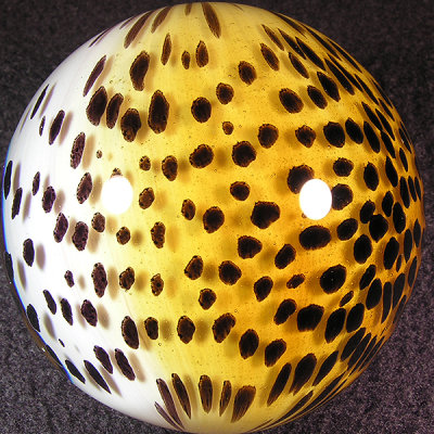 Cheetah  Size: 2.34  Price: SOLD 