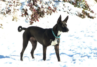 Rowan's first snow... What's that?