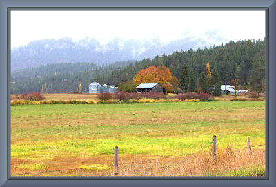 Rainy day Autumn Scene