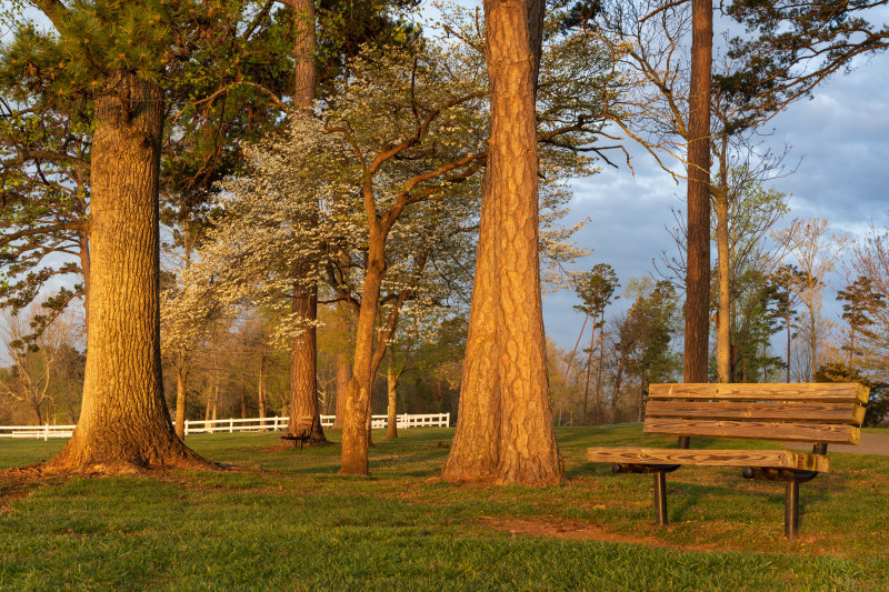 20220411-Sunrise_at_the_Park-DSC09875.jpg