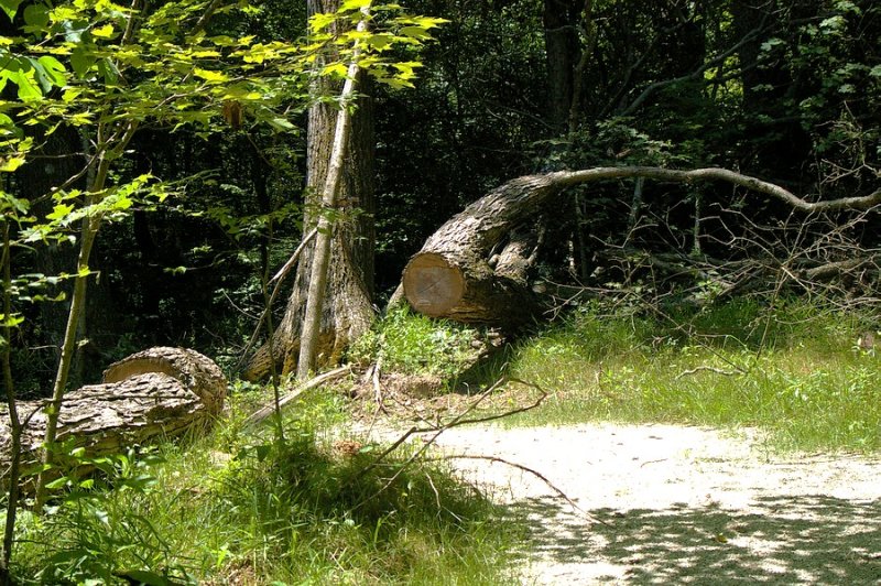 P8951.JPG