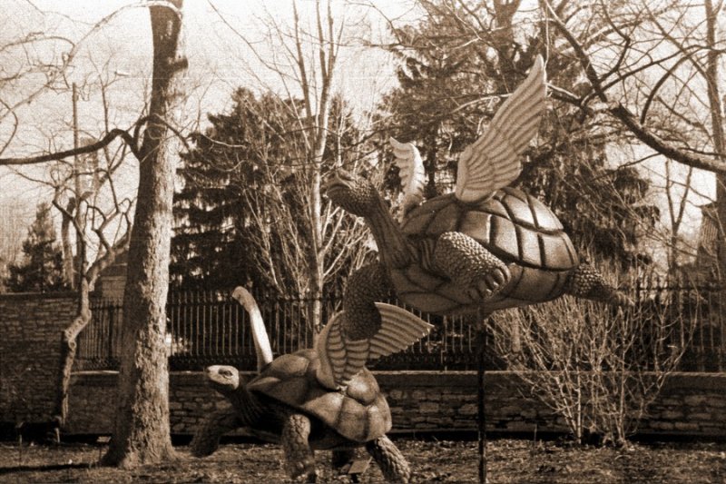 g.JPG