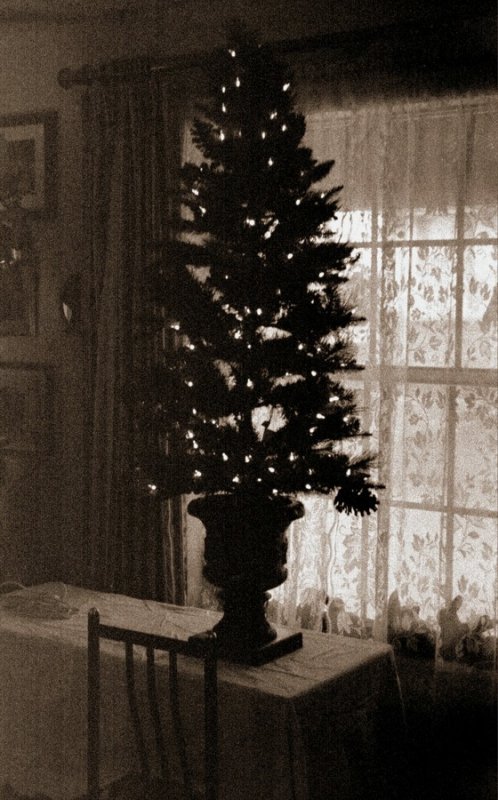 image 1 ready for decorating.JPG