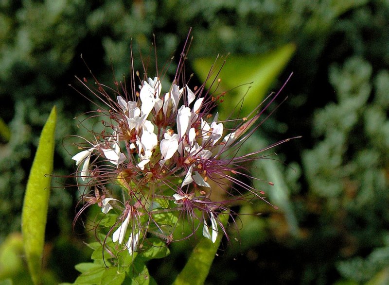 P2349.JPG