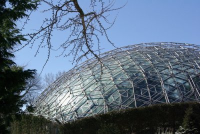 P7313.JPG