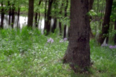 P0785.JPG