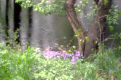 P0793.JPG