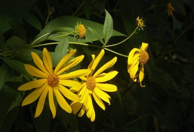 P9235.JPG