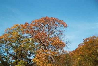 02.JPG
