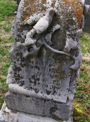 P9721.JPG