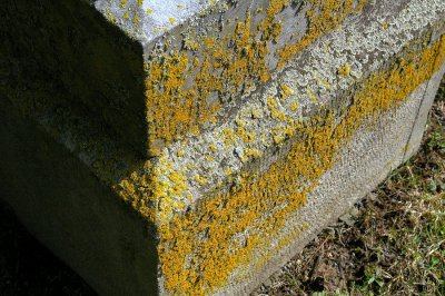 P9723.JPG