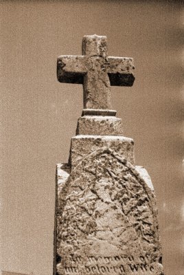 06.JPG