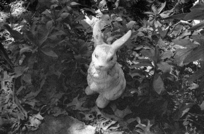 bw01.JPG