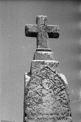 bw06.JPG