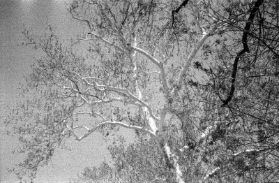 bw23.JPG
