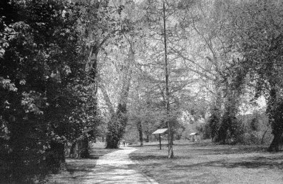 bw24.JPG