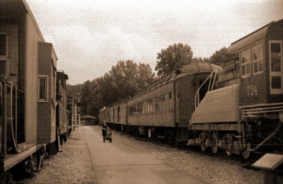 pb11.JPG