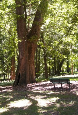 Minnie Ha Ha Park and the Meramec River