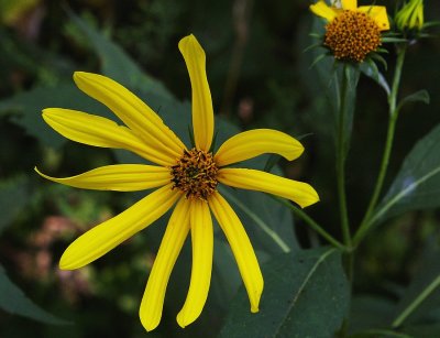 P9819.JPG